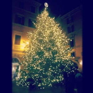 Tree on Via del Corso